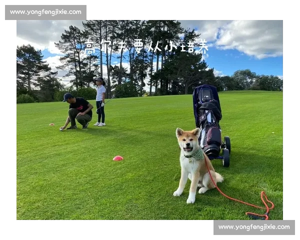 年前背洞的球童小姐姐，年后竟成大赛 “梗王”